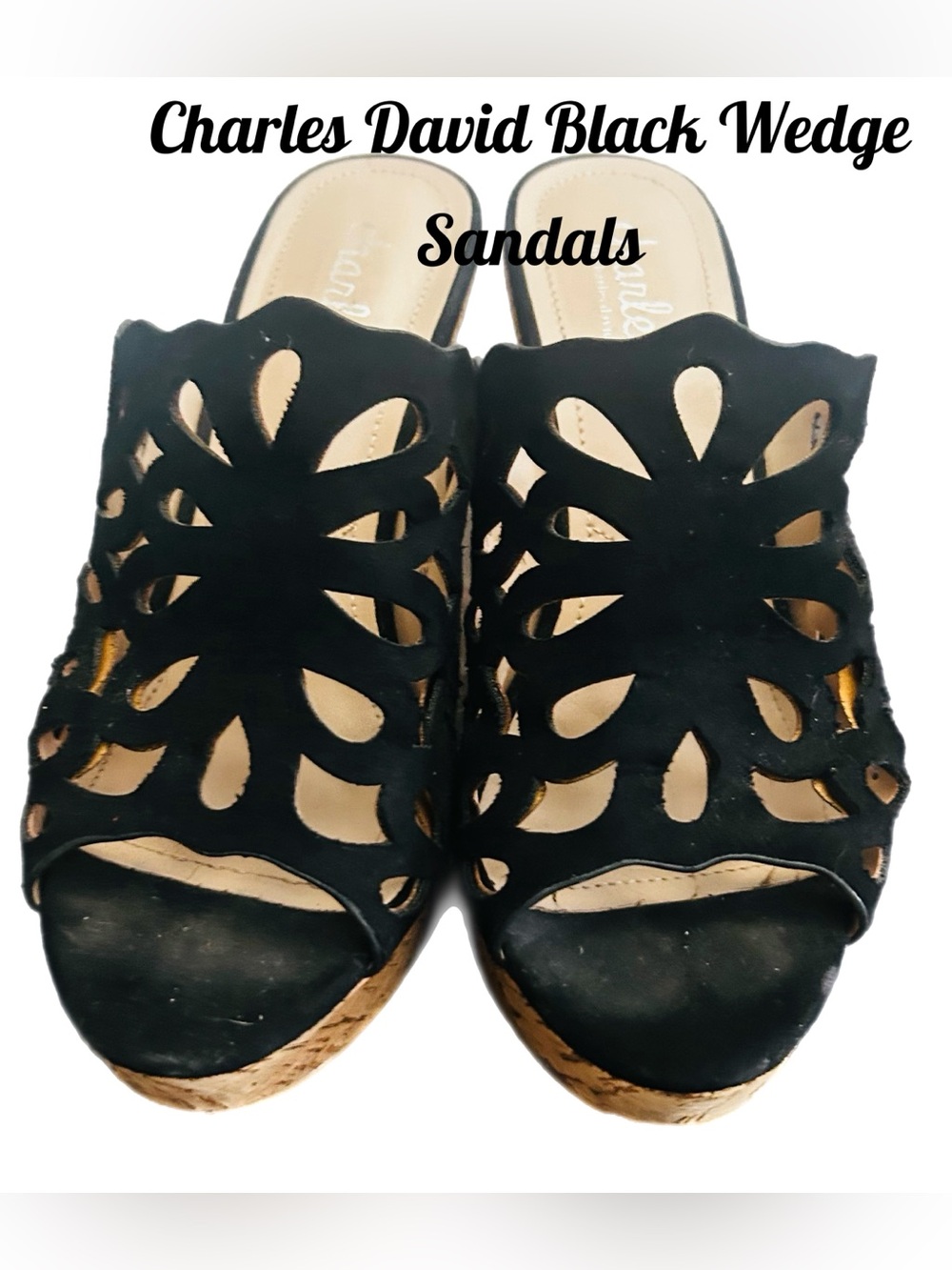 Charles David Black‎ Wedge Sandals- Size 6 M